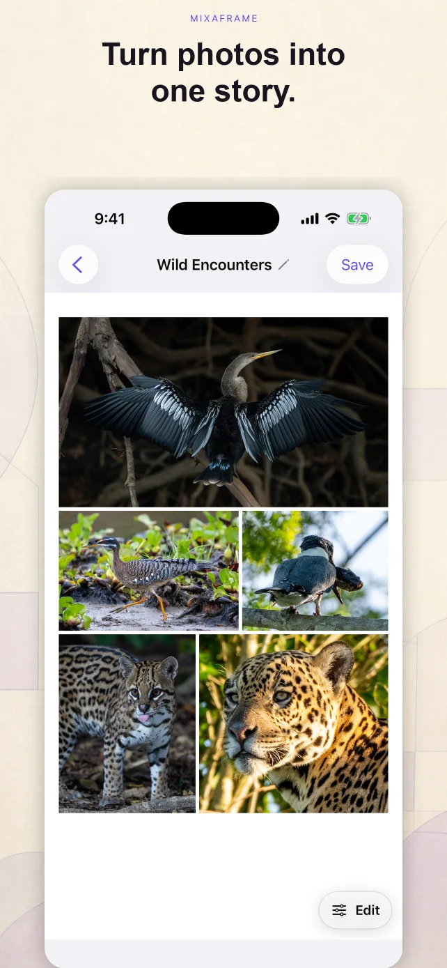 MixaFrame editor showing a wildlife collage with complete subjects visible