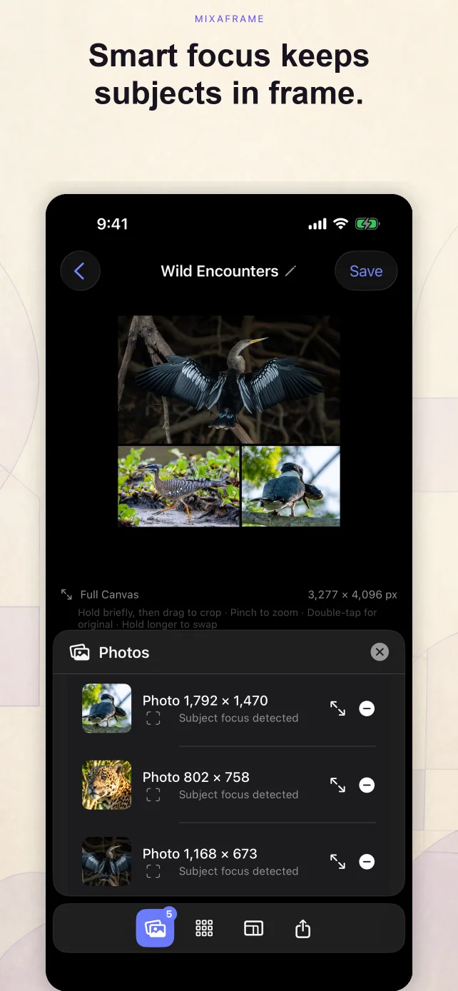 MixaFrame photos panel showing detected subject focus