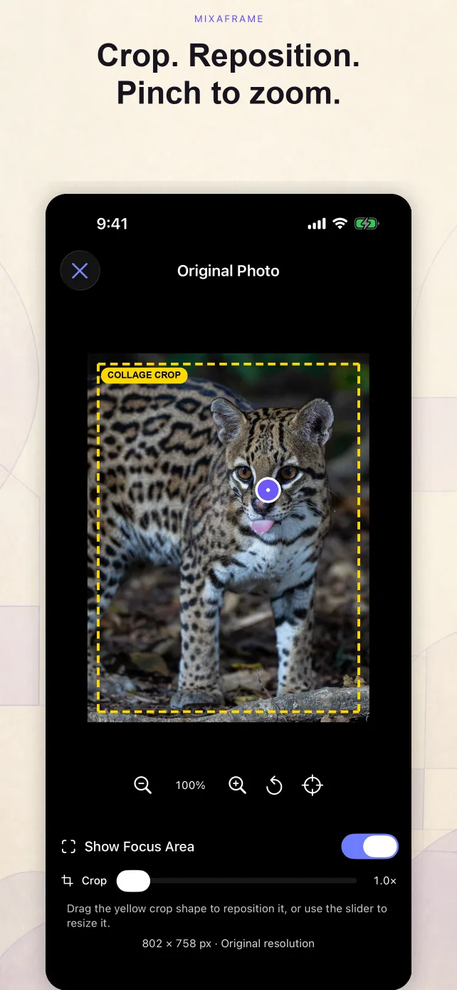 Original photo viewer with an adjustable collage crop around the subject