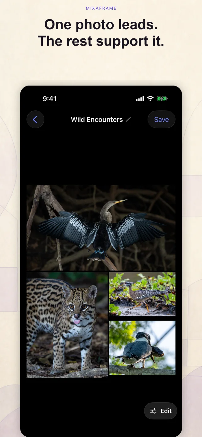MixaFrame Featured collage layout with a lead photo and supporting photos